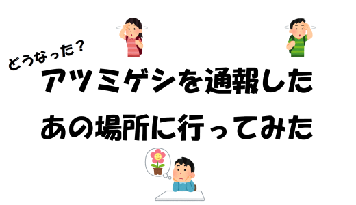 【どうなった？】アツミゲシを通報したあの場所に行ってみた
